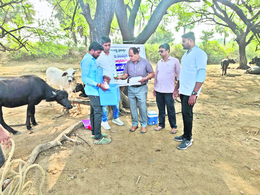 టీకాలను సద్వినియోగం చేసుకోవాలి 1