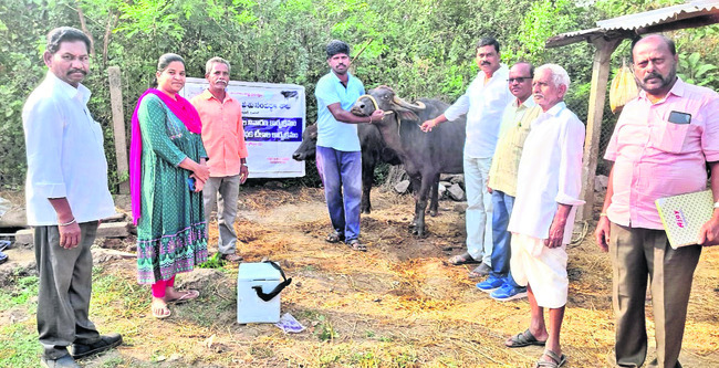 టీకాలను సద్వినియోగం చేసుకోవాలి 2