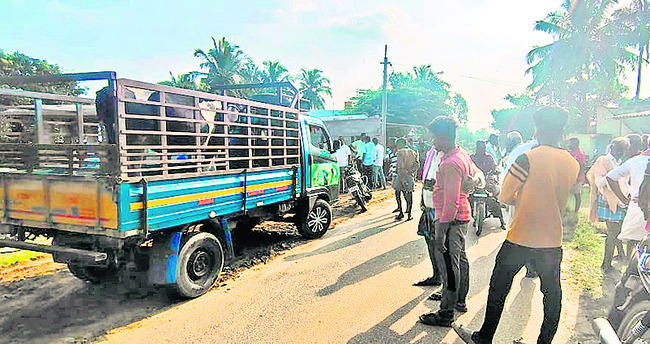 పాడి ఆవు చోరీ 1