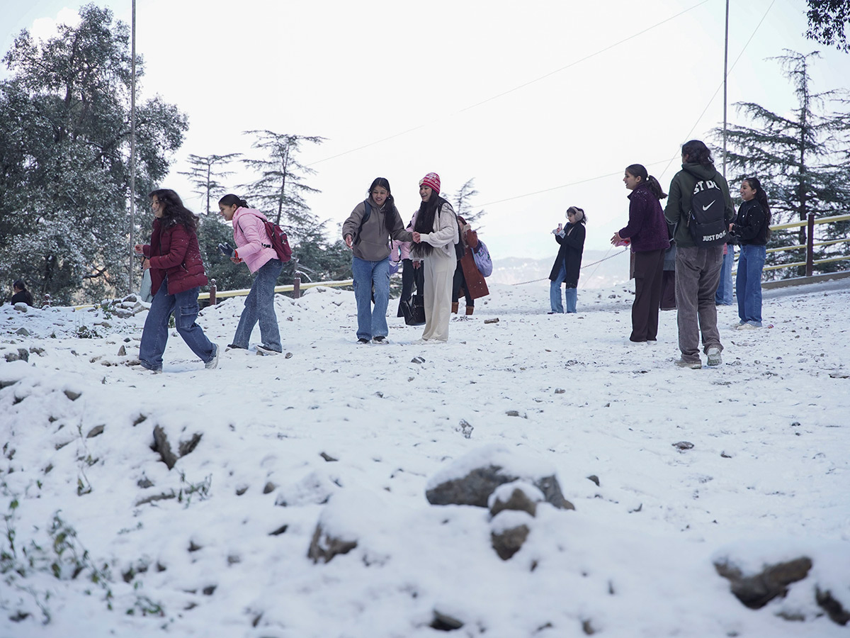 In Pics: Season's First Snowfall In Himachal Pradesh's Shimla1