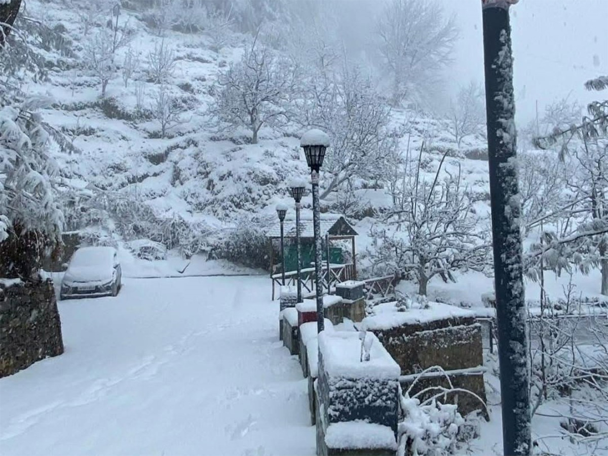 In Pics: Season's First Snowfall In Himachal Pradesh's Shimla9