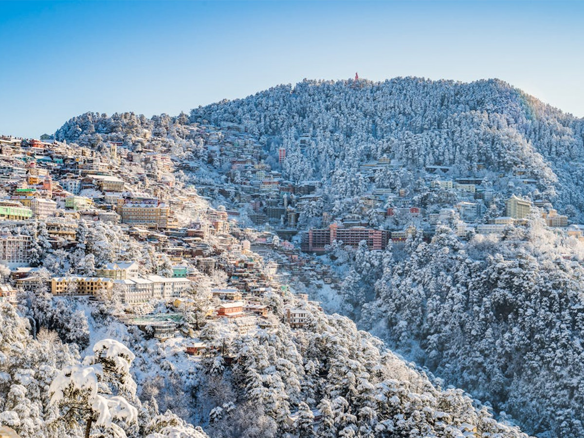 In Pics: Season's First Snowfall In Himachal Pradesh's Shimla10