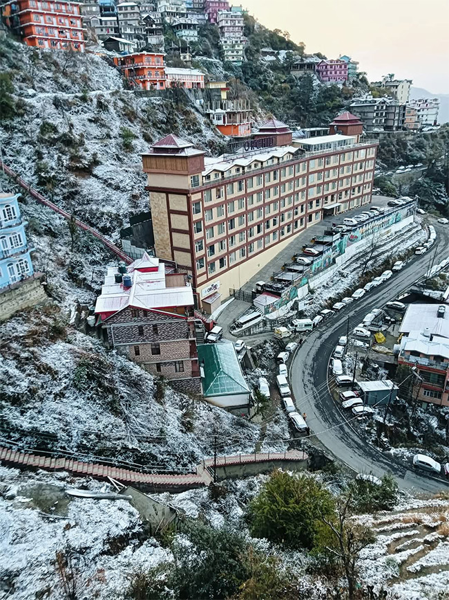 In Pics: Season's First Snowfall In Himachal Pradesh's Shimla11