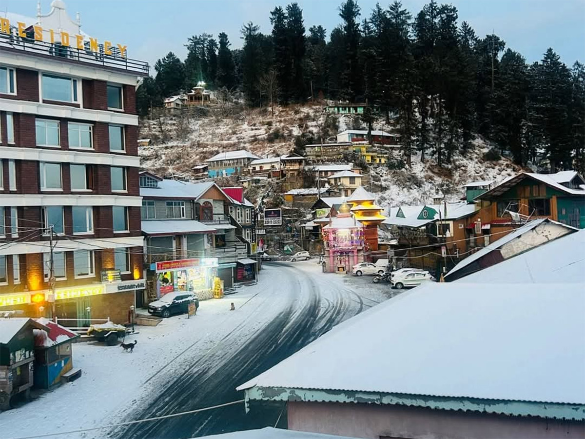 In Pics: Season's First Snowfall In Himachal Pradesh's Shimla13