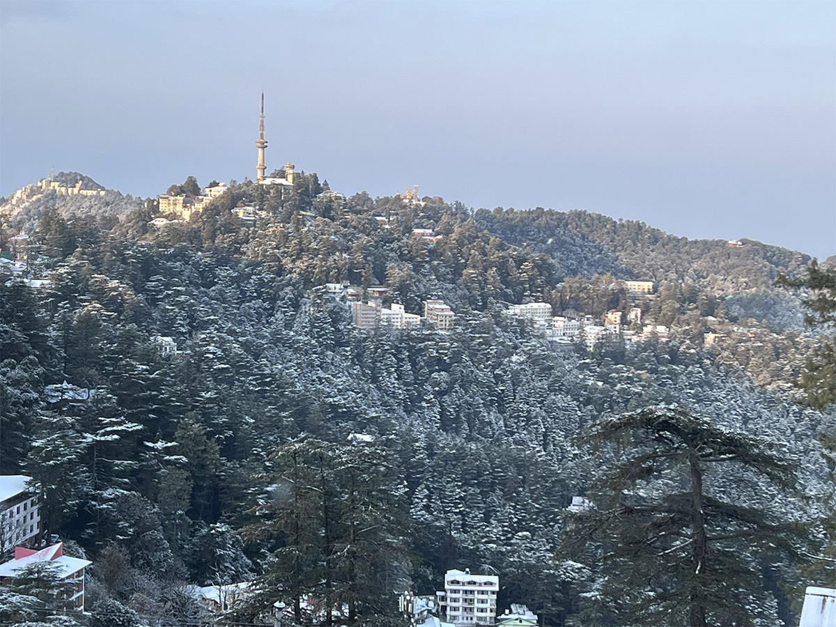 In Pics: Season's First Snowfall In Himachal Pradesh's Shimla16