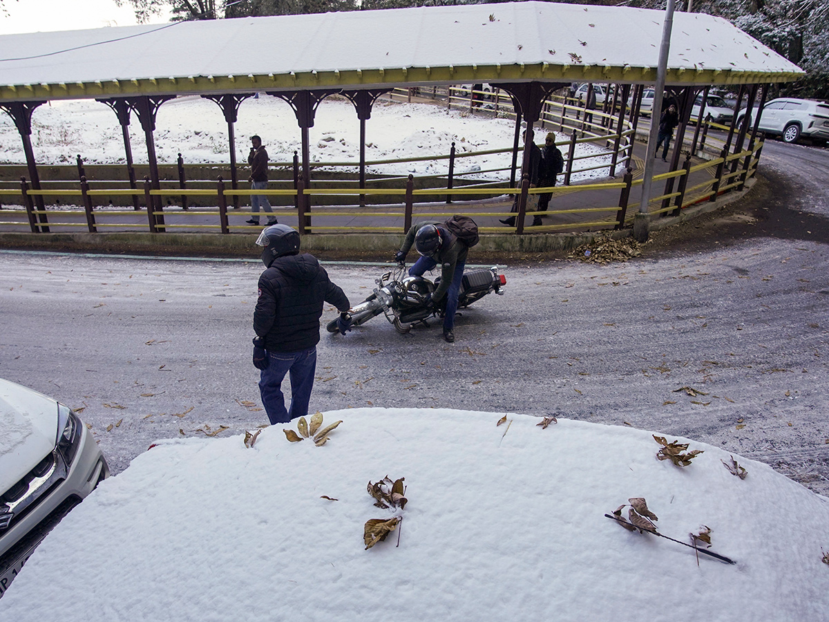 In Pics: Season's First Snowfall In Himachal Pradesh's Shimla2