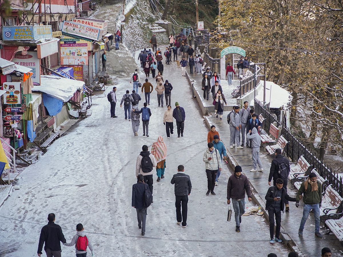 In Pics: Season's First Snowfall In Himachal Pradesh's Shimla4