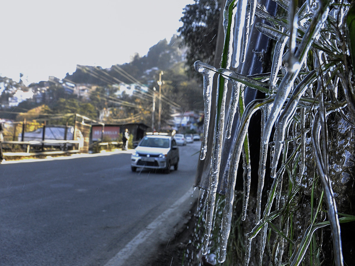 In Pics: Season's First Snowfall In Himachal Pradesh's Shimla5