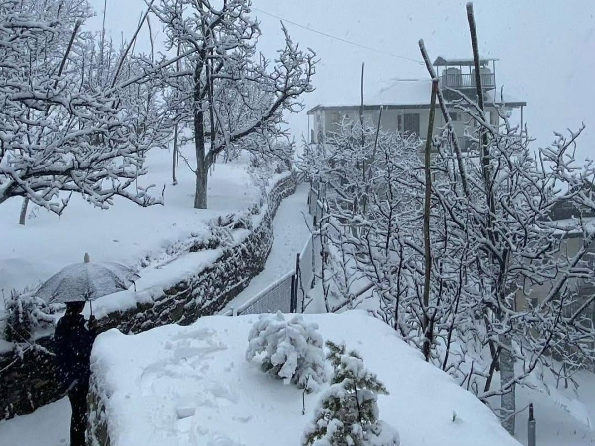 In Pics: Season's First Snowfall In Himachal Pradesh's Shimla7