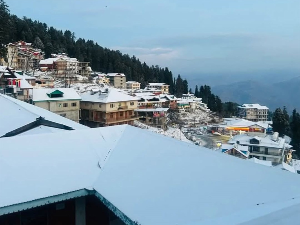 In Pics: Season's First Snowfall In Himachal Pradesh's Shimla8