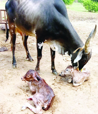 యువకుడి దుర్మరణం1