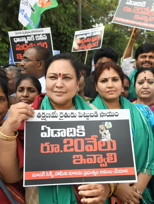 YSRCP Protest Against Farmers Problems Photos6