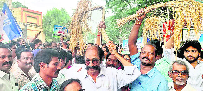 అన్నదాతకు అండగా..1