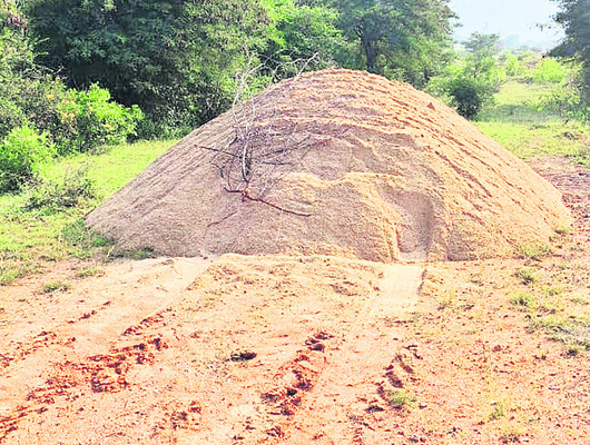 ●చోద్యం చూస్తున్న అధికారులు 2