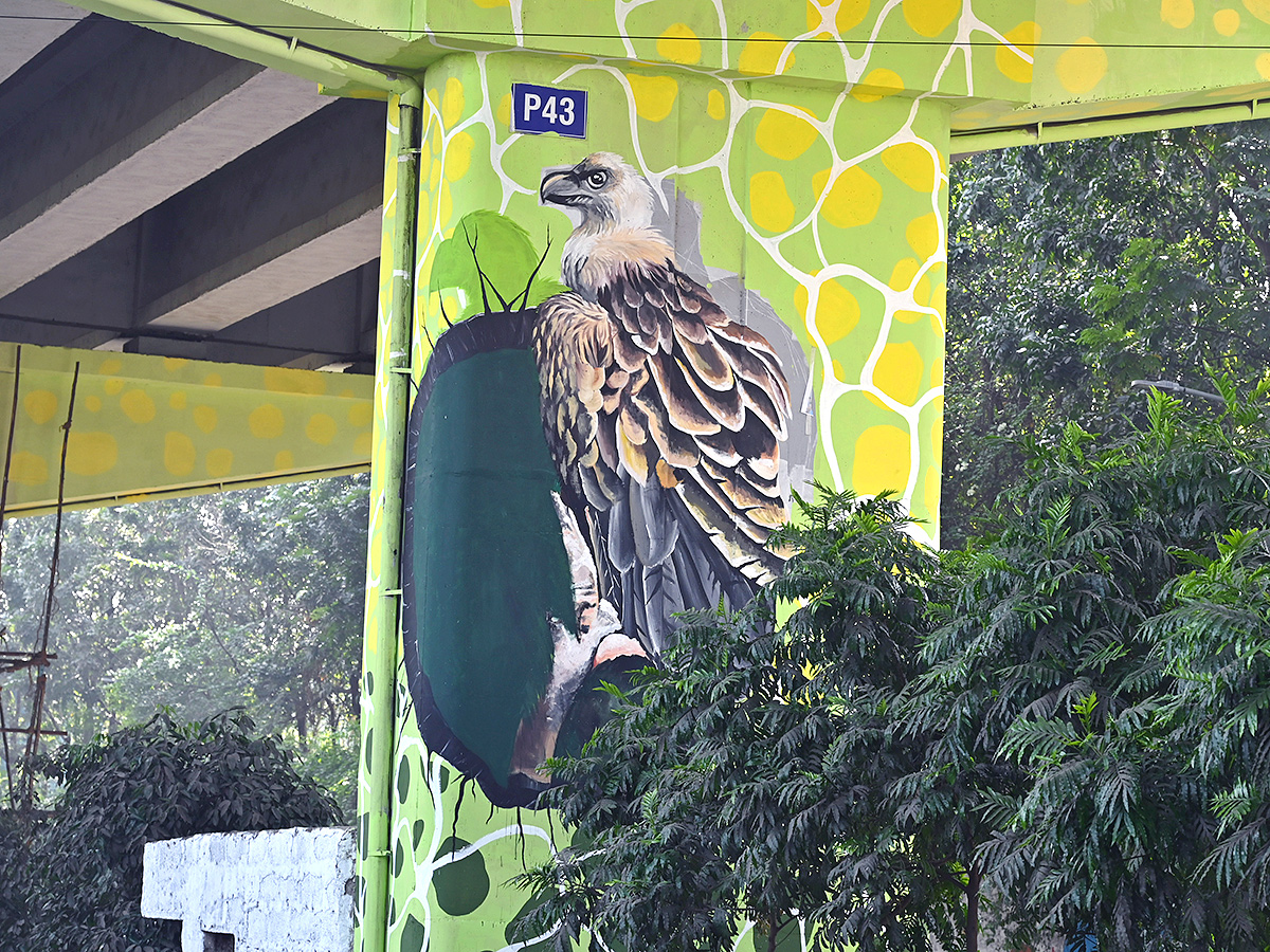 Beautification drive: GHMC to add a dash of art to flyovers3