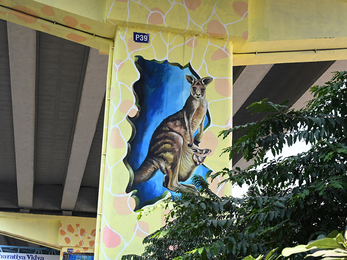 Beautification drive: GHMC to add a dash of art to flyovers5