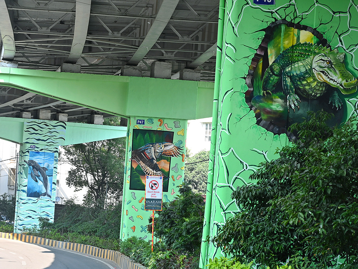 Beautification drive: GHMC to add a dash of art to flyovers8