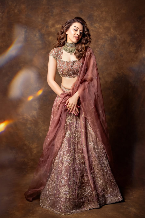 Tollywood Beauty Hansika Motwani In A Stunning Ghagra Choli4