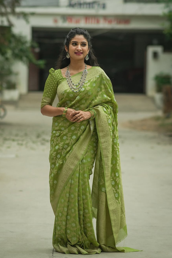 Serial Beauty Vishnu Priya Adorable Looks In Saree3