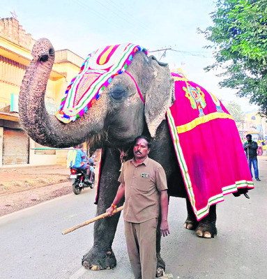 శ్రీవారి తిరువీధి సేవలు ప్రారంభం 1