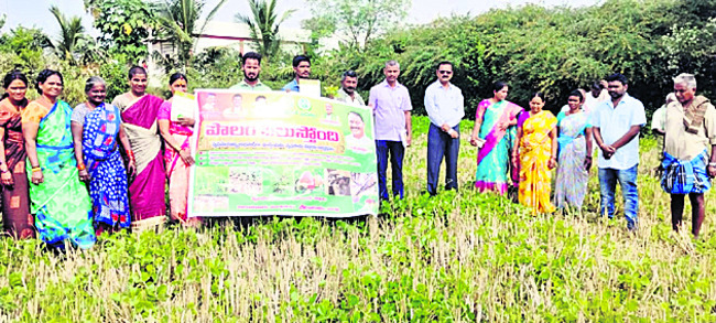 రైతులు అప్రమత్తంగా ఉండాలి 1