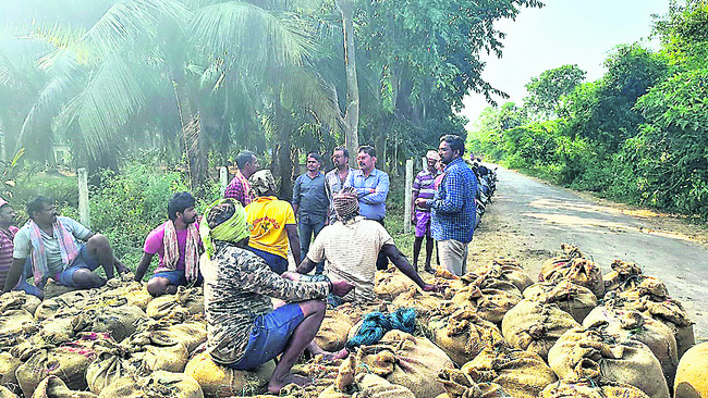 చినుకుతో కునుకు దూరం1