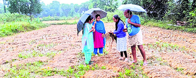 ముంచెత్తిన వాన 3