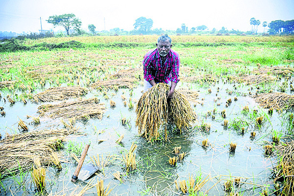 ముంచెత్తిన వాన 2