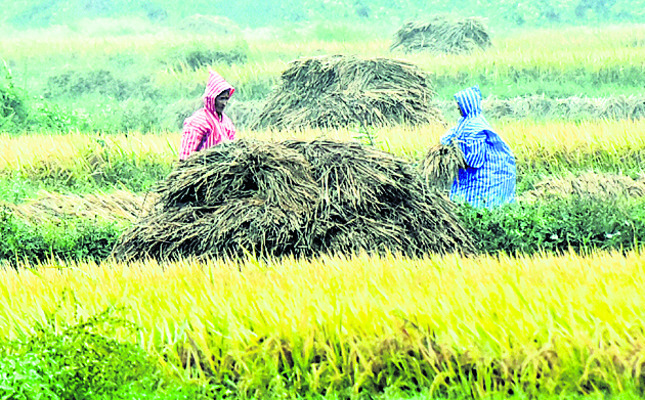 ముంచెత్తిన వాన 4