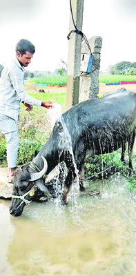 చెరసాల నుంచి.. చేనుబాట1