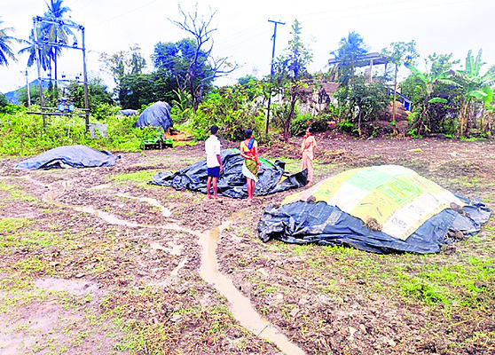 అకాల వర్షాలతో నష్టం 2