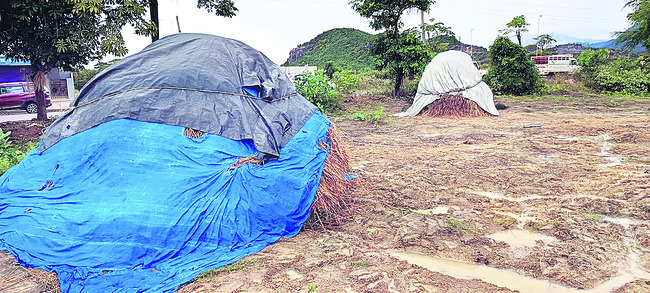 అకాల వర్షాలతో నష్టం 1