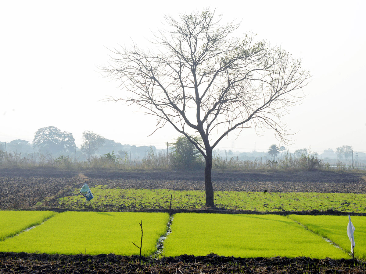 Best Photos of The Week in AP and Telangana Photo Gallery14