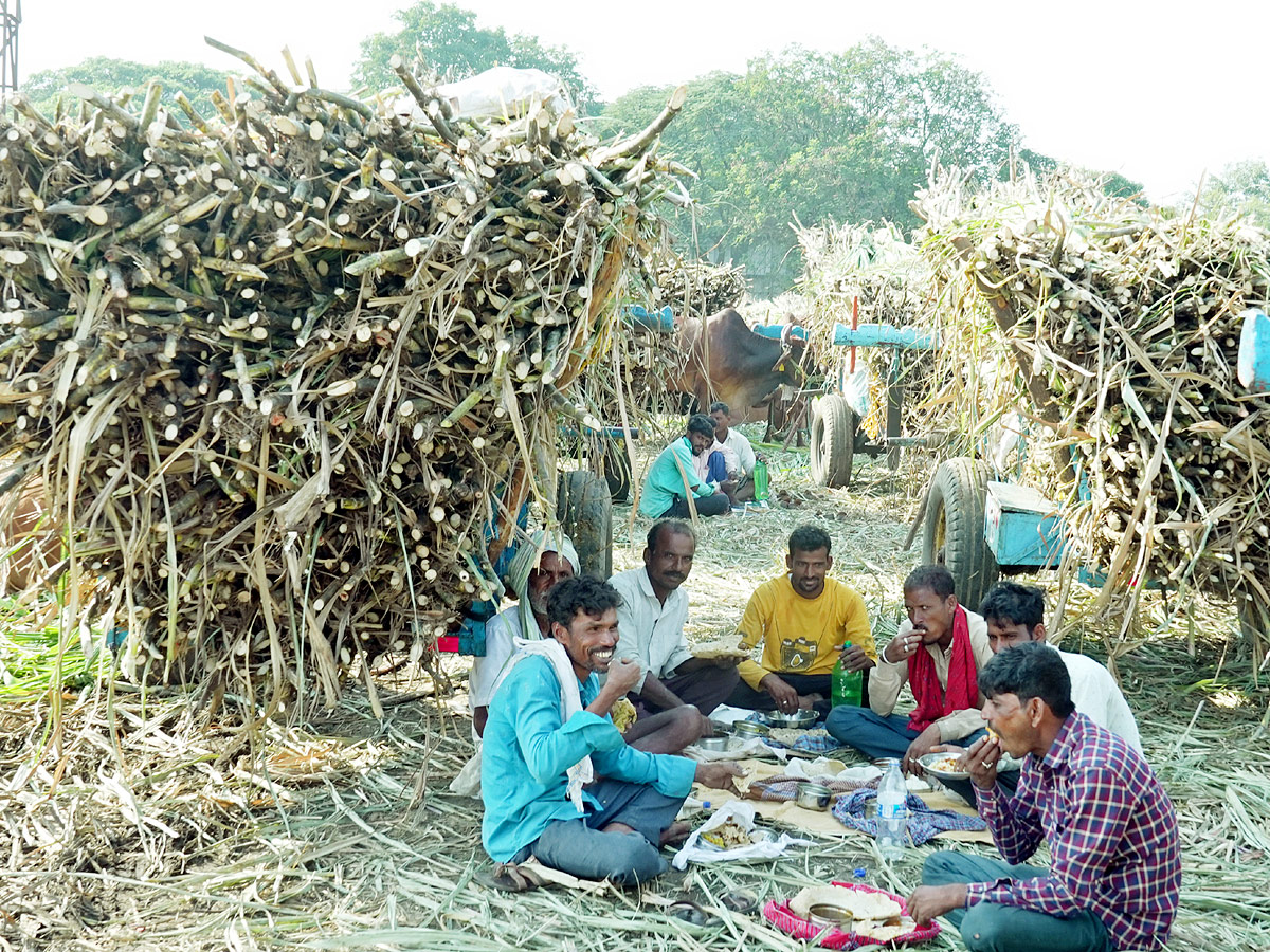 Best Photos of The Week in AP and Telangana Photo Gallery28