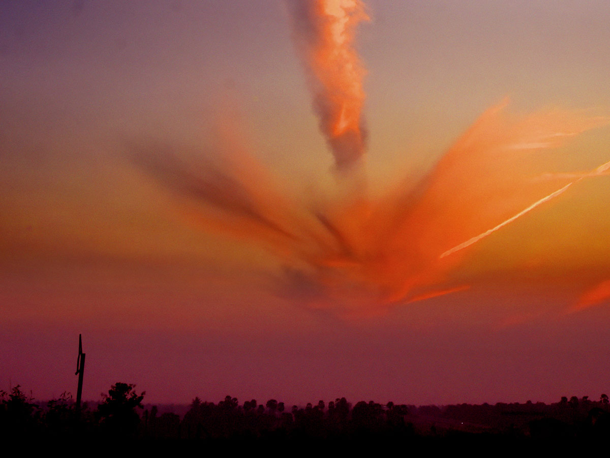 Best Photos of The Week in AP and Telangana Photo Gallery44