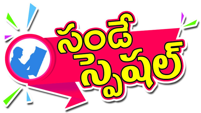 నిర్మల్‌2