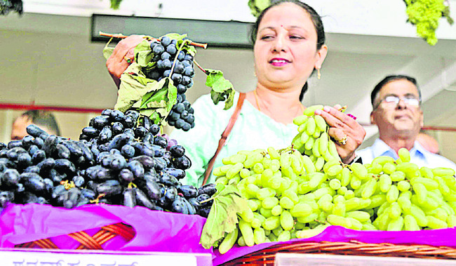 రాష్ట్రంలో మూతపడిన హాప్‌కామ్స్‌ అంగళ్లు 2