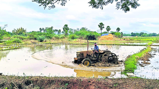 ఆశాజనకంగా రబీ 1