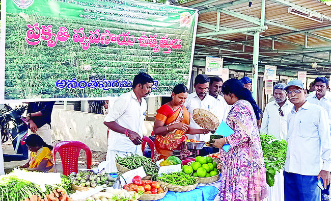 కలెక్టరేట్‌లో ప్రకృతి వ్యవసాయ ఉత్పత్తుల విక్రయ కేంద్రం 1