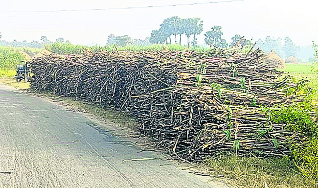 విజయమే లక్ష్యం కావాలి 
1