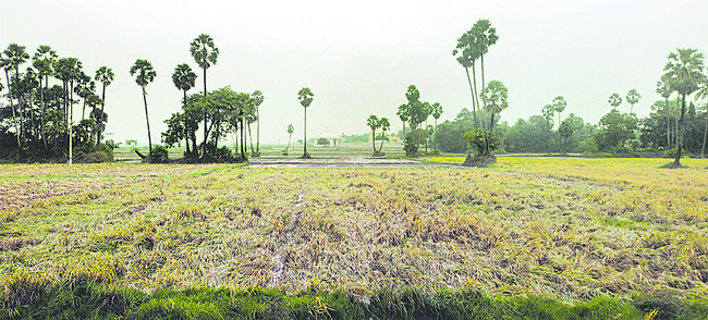  తీవ్ర అల్పపీడనంతో ఉమ్మడి జిల్లాలో వర్షాలు 
2