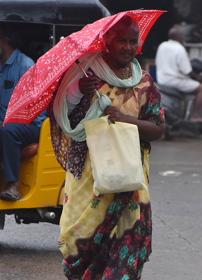 Heavy rains in Andhra Pradesh: Photos26