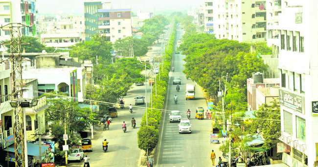 రోడ్డుకు ఇరువైపులా పచ్చదనం 1