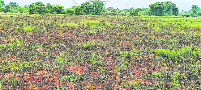 బంగాళాఖాతంలో వరుసగా ఏర్పడిన అల్పపీడనాల ప్రభావంతో గత కొద1