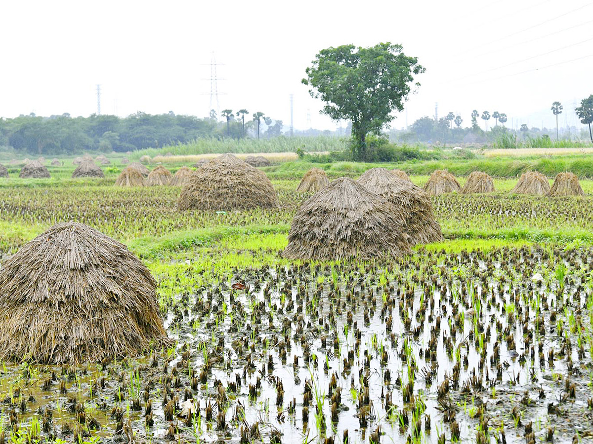 Best Photos of The Week in AP and Telangana Photo Gallery39