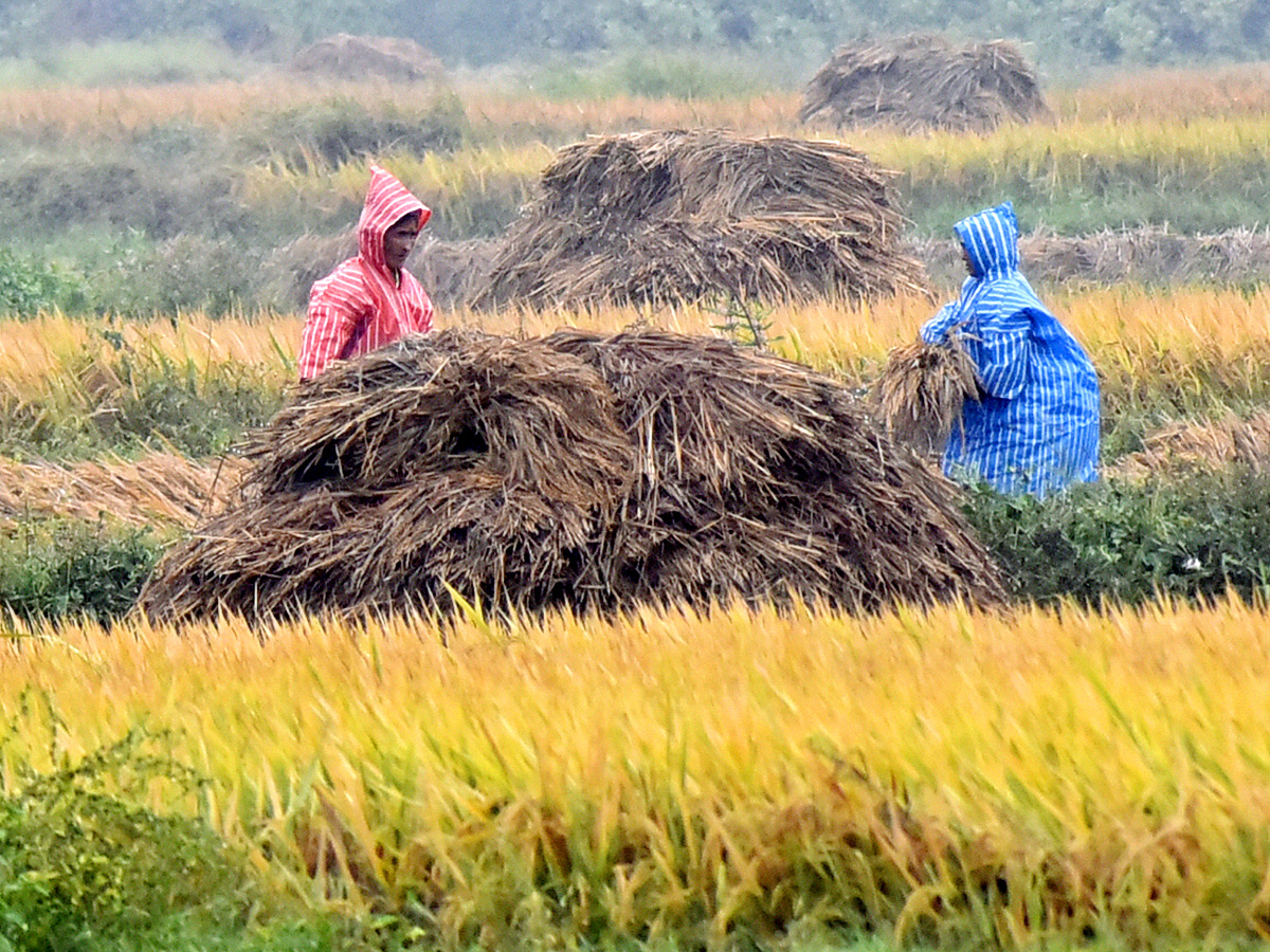 Best Photos of The Week in AP and Telangana Photo Gallery55