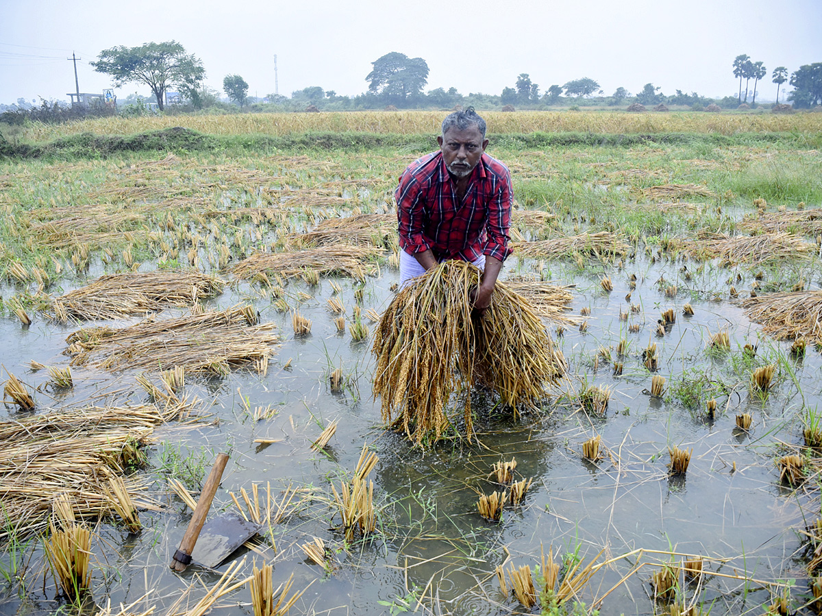 Best Photos of The Week in AP and Telangana Photo Gallery56