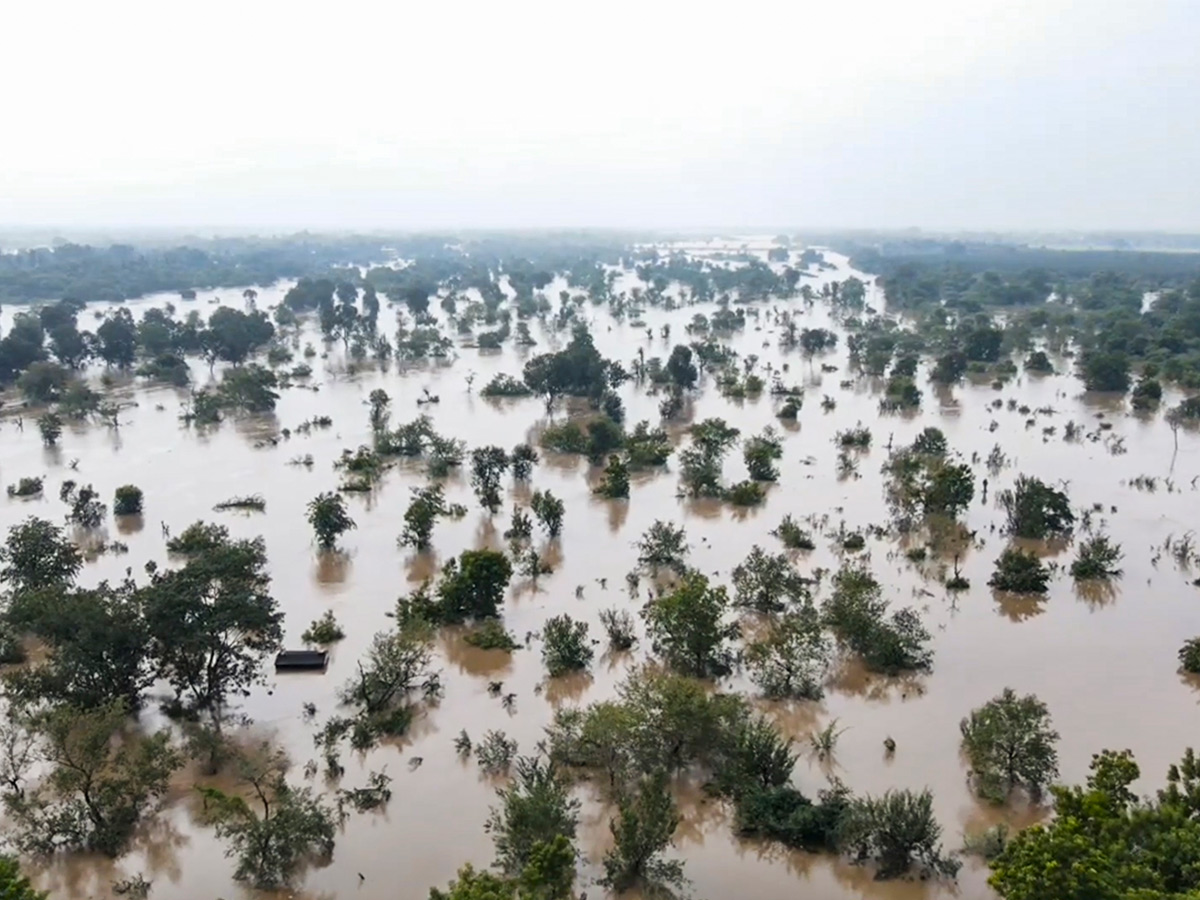 Cyclone Fengal LIVE Updates Tamil Nadu Photos9