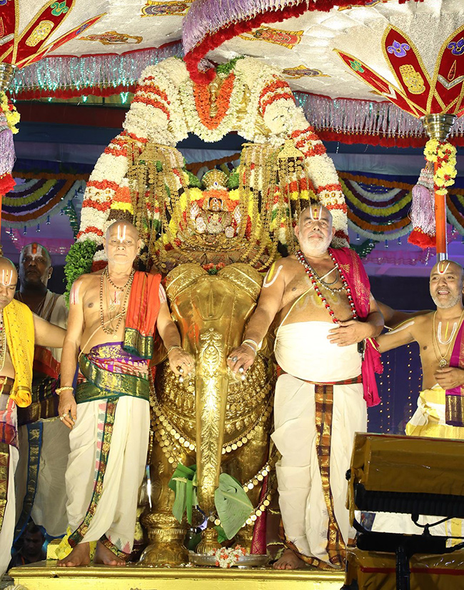 Tiruchanur Sri Padmavathi Ammavari Brahmotsavam 202417