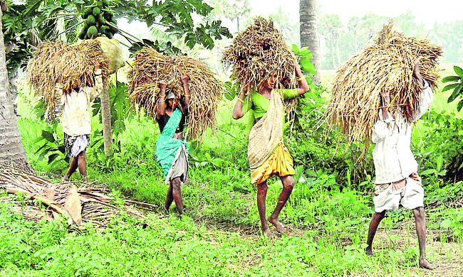 పెట్టుబడి పిడుగు1